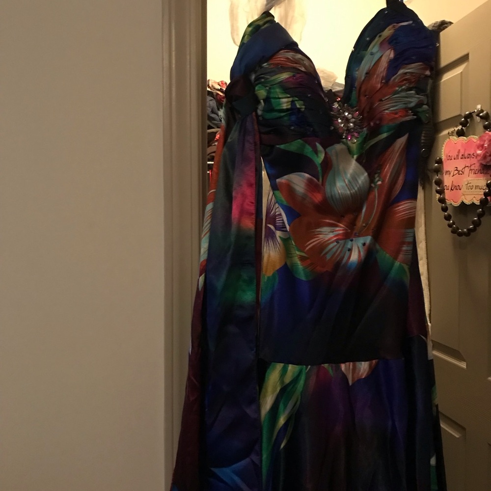 Plus Ball Gown Size 18W Multi Color - Picture 5 of 5